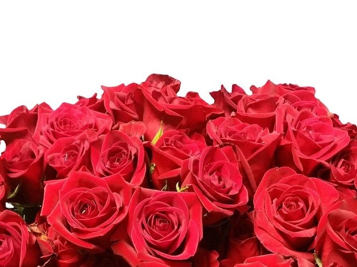 Know why bed is decorated with roses and other flowers during first night Roses in first night: ‘ఫస్ట్‌ నైట్’ బెడ్‌ను రోజా పూలతోనే అలంకరించాలట.. ఎందుకో తెలుసా?