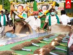 Nel Thiruvizha : பாரம்பரியத்தை மீட்டெடுக்கும் நெல் திருவிழா..கோலாகலமாக துவக்கம்!