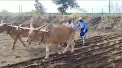 Climate Change : वातावरणीय बदलांमुळे राज्यातील 36 पैकी 24 जिल्ह्यांतील शेती धोक्यात ABP Majha