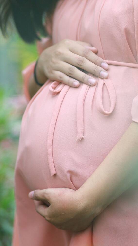 Pregnancy Diet: গর্ভবতী মহিলাদের জন্য প্রয়োজনীয় ১৩টি খাদ্যদ্রব্য