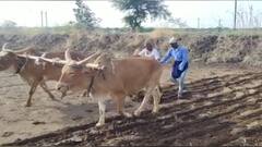 राज्यात शेतजमीन खरेदी-विक्रीच्या नियमात मोठा बदल, जमीन खरेदी-विक्रीसाठी प्राधिकरणाची परवानगी आवश्यक