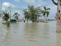प्रयागराज: खतरे के निशान के करीब गंगा-यमुना का जलस्तर, एसडीआरएफ और एनडीआरएफ तैनात