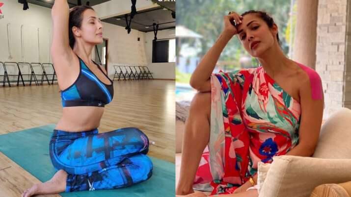 मीडिया रिपोर्ट्स की मानें तो मलाइका की नेटवर्थ 100 करोड़ रुपये के करीब है. वह फिल्मों में एक आइटम नंबर पर डांस करने के करीबन 1.75 करोड़ रुपये चार्ज करती हैं. इसके अलावा उन्हें नच बलिए, नच बलिए सीजन 2, जरा नचके दिखा, झलक दिखला जा जैसे रियलटी शो होस्ट करने की भी काफी मोटी रकम मिलती है.