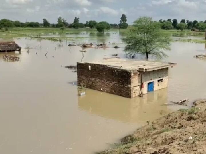 यूपी: हमीरपुर के कई इलाकों में बाढ़ का कहर, यमुना और बेतवा उफान पर कई घर हुए जमींदोज