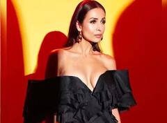 Arjun Kapoor से कहीं ज्यादा अमीर हैं Malaika Arora, जानिए कहां से होती है 100 करोड़ रुपये की कमाई!