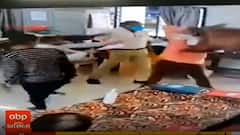 પાટણ નગરપાલિકામાં નગરસેવક અને ચીફ ઓફિસર વચ્ચે મારામારી, જુઓ વીડિયો