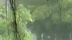 વરસાદની રાહ જોતાં ખેડૂતો માટે માઠા સમાચાર, રાજ્યમાં સારા વરસાદની નથી કોઇ સંભાવના