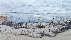 Sand turns black as oil spills at Juhu beach, BMC starts clean up drive