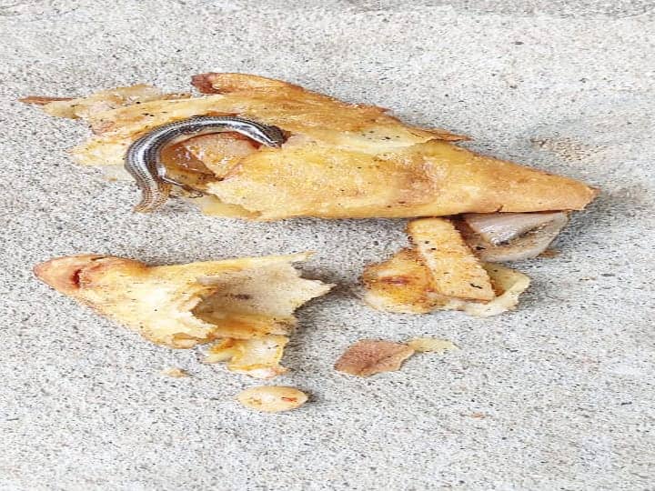 The bakery that put the lizard in the samosa The boy was treated at the hospital ’’சமோசாவுக்குள் பல்லியை வைத்து கொடுத்த பேக்கரி...!’’- சிறுவனுக்கு மருத்துவமனையில் சிகிச்சை...
