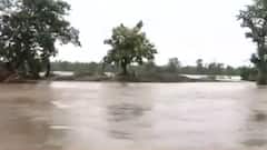 Monsoon update from UP & MP: Swollen rivers, homeless people & areas submerged in flood water