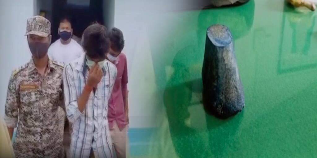 Alipurduar two accused have been remanded in custody for five days on charges of smuggling wildlife carcasses Alipurduar: বন্যপ্রাণীর দেহাংশ পাচারের অভিযোগে আলিপুরদুয়ারে ধৃত ২