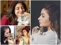 International Cat Day 2021: আজ আন্তর্জাতিক বিড়াল দিবস, পোষ্য মার্জার নিয়ে দিনটি কাটাচ্ছেন বলিউড তারকারা