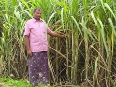 பெட்ரோல் போட கூட காசு இல்லை; விரைவில் போராட்டம்: கொதித்தெழும் மதுரை கரும்பு விவசாயிகள்
