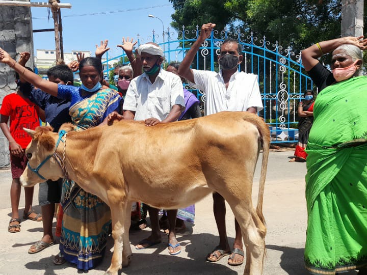 கரூர் ஆட்சியர் அலுவலகத்திற்கு கன்றுக்குட்டியுடன் மனு அளிக்க வந்த குடும்பம்...!