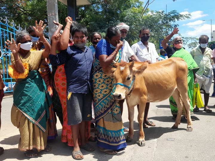 கரூர் ஆட்சியர் அலுவலகத்திற்கு கன்றுக்குட்டியுடன் மனு அளிக்க வந்த குடும்பம்...!