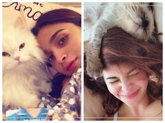 Bollywood की बिल्लियां: इन 5 Bollywood हसीनाओं को है पालतू बिल्लियों का शौक, बड़े प्यार से रखती हैं इन्हें अपने करीब