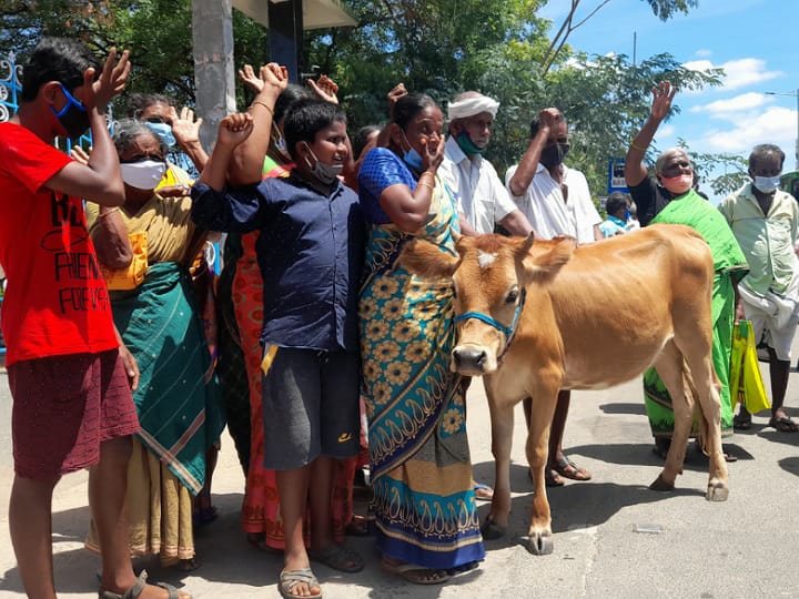 கரூர் ஆட்சியர் அலுவலகத்திற்கு கன்றுக்குட்டியுடன் மனு அளிக்க வந்த குடும்பம்...!