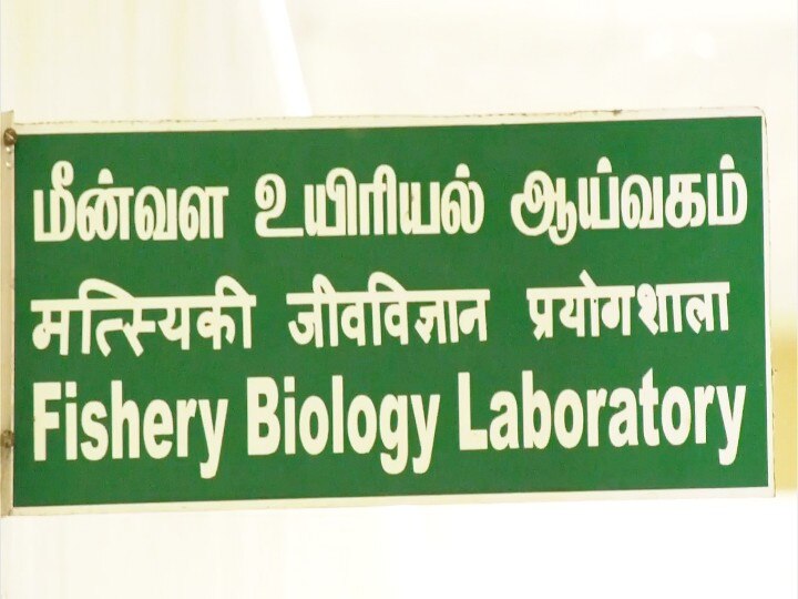 இலங்கை கடலில் கலந்த நைட்ரிக் அமிலம்- தமிழக மீனவர்கள் பிடித்துவரும் மீன்களை சாப்பிடலாமா?