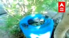 Dhule : धुळेतील वळींग किल्यावर हातभट्टीचा कारखाना, पोलिसांकडून हातभट्टी उद्धवस्त ABP Majha