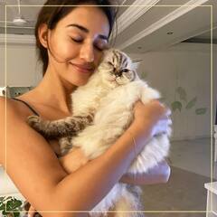 Bollywood की बिल्लियां: इन 5 Bollywood हसीनाओं को है पालतू बिल्लियों का शौक, बड़े प्यार से रखती हैं इन्हें अपने करीब