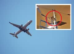 Snake in Indigo Flight: ఇండిగో విమానంలో పాము.. ప్రయాణికులు భలే లక్కీ, ఎందుకంటే..