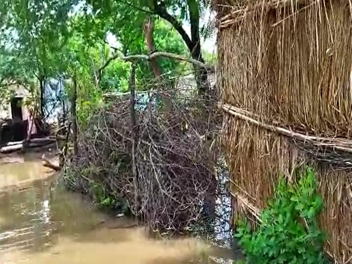 Kanpur Flood Updates: उफनाई यमुना का पानी गांवों में घुसा, जान बचाने की गुहार लगा रहे लोग, हालात बदतर हुए