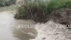 Jaunpur में शारदा सहायक नदी कटी, किसानों की सैकड़ों बीघा फसल जलमग्न | ABP Ganga