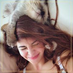 Bollywood की बिल्लियां: इन 5 Bollywood हसीनाओं को है पालतू बिल्लियों का शौक, बड़े प्यार से रखती हैं इन्हें अपने करीब