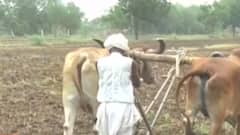 PM મોદી આજે ખેડૂતોના બીજા હપ્તાની કરશે ચુકવણી, કેટલા ખેડૂતોને મળશે લાભ?