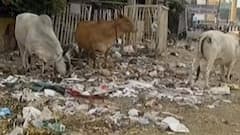 મારુ શહેર મારી વાતઃકચ્છના ગાંધીધામના લોકો કઈ કઈ સમસ્યાનો કરી રહ્યા છે સામનો?