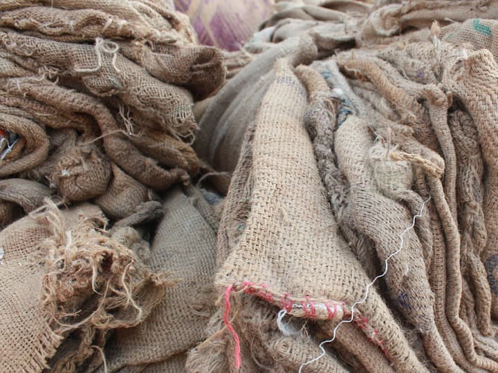 Bihar Nitish Kumar Govt ordered to teacher to sell empty jute bags at Rs 10 a piece Bihar : बारदाना विका नाहीतर पगार मिळणार नाही; बिहार सरकारचा शिक्षकांना अजब आदेश