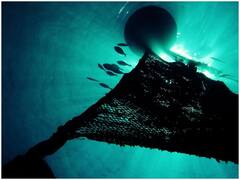 आईपीसीसी की रिपोर्ट- तेजी से गर्म हो रहा हिंद महासागर, भारत में भी बढ़ेगा लू और बाढ़ का खतरा