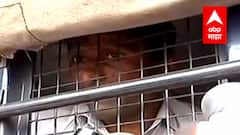 Kolhapur : कोल्हापूर पूरग्रस्त नागरिकांचे पुर्नवसन करण्याच्या मागणीसाठी पंचगंगा नदीत आंदोलन ABP Majha