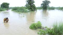 Kanpur में यमुना का रौद्र रूप, जलमग्न सड़कों पर चल रहीं हैं नाव