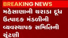 મહેસાણાઃ ચરાડા દૂધ ઉત્પાદક મંડળીની ચૂંટણીમાં અમિત ચૌધરીની પેનલનો વિજય, જુઓ વીડિયો