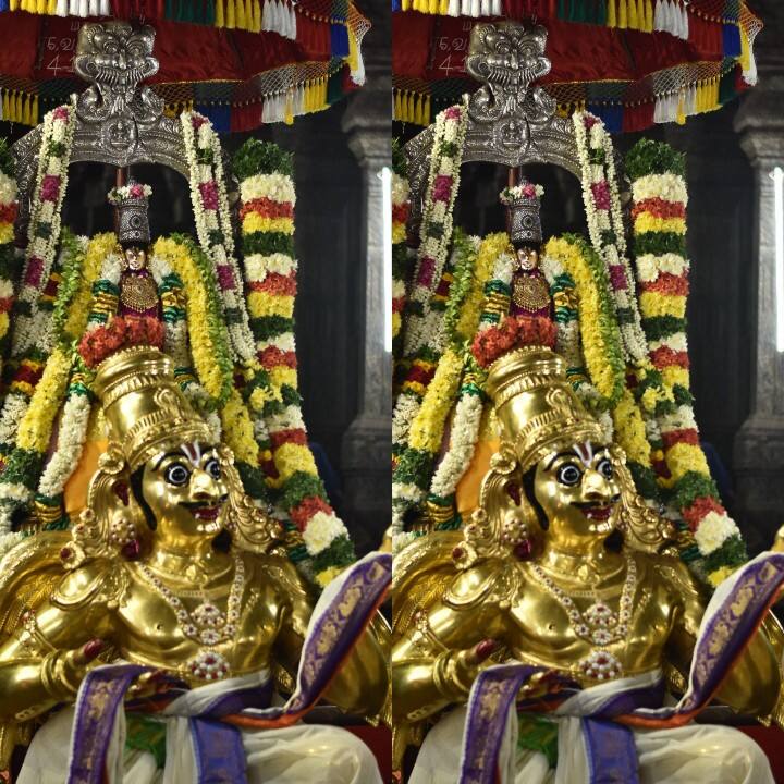 கள்ளழகர் என போற்றப்படும் சுந்தர்ராஜ பெருமாள் தங்க கருட வாகனத்தில்.