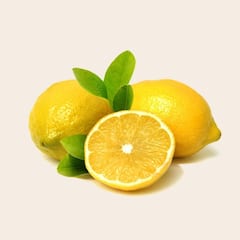 Benefits of Lemon : রক্তচাপ নিয়ন্ত্রণে আনা থেকে হজম ক্ষমতা বাড়ানো, আর কী গুণ রয়েছে লেবুর ?