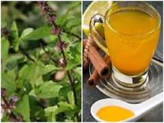 Tulsi-Turmeric Kadha: मानसून में शरीर को मजबूत करने के लिए इस्तेमाल करें काढ़ा