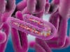deadly Marburg virus : కరోనాను మించిన మరో వైరస్ - ఆఫ్రికా నుంచి వేట మొదలు పెట్టేసింది  !