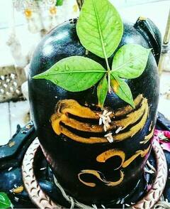 ભગવાન શિવને કેમ છે બિલ્વપત્ર પ્રિય, તેને અર્પણ કરવાથી શું લાભ થાય છે, જાણો