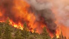 Climate Change : कोरोना आणि दहशतवादापेक्षाही मोठं संकट! जगभरातील आपत्तींमध्ये इतकी वाढ का झाली?