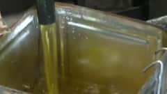 રાજ્યમાં તહેવારોની સિઝનમાં સિંગતેલ અને કપાસિયા તેલના ભાવ થયા એક સરખા