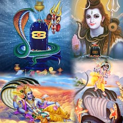 Nag Panchami 2021: 108 ఏళ్ల తర్వాత ఇలాంటి నాగపంచమి...ఈ సారి నాగదేవతను పూజించిన వారికి కాలసర్ప దోషాలు,నాగ దోషాలు తొలగిపోతాయంటున్న పండితులు..