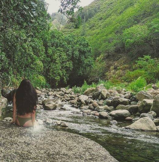 Trishala can be seen in a green bikini in the picture sitting on a rock in the middle of a jungle. [pic credit: Instagram/Trishala Dutt]