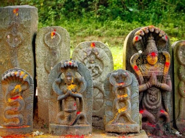 Nag Panchami 2021: 108 ఏళ్ల తర్వాత ఇలాంటి నాగపంచమి...ఈ సారి నాగదేవతను పూజించిన వారికి కాలసర్ప దోషాలు,నాగ దోషాలు తొలగిపోతాయంటున్న పండితులు..