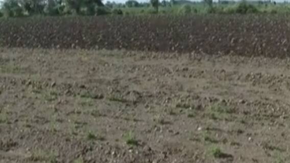 રાજકોટઃ વરસાદ ખેંચાતા આ ગામના ખેડૂતો પર ઘેરાયા ચિંતાના વાદળ, શું કહ્યું ખેડૂતોએ?