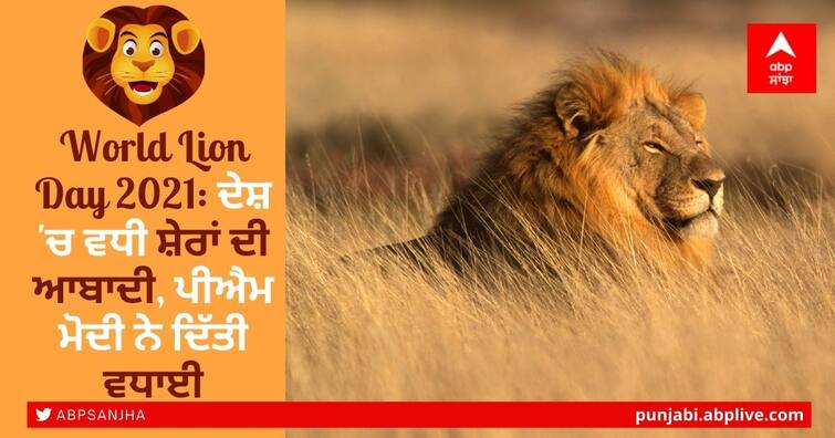 World Lion Day 2021 PM Modi Congratulated Lions Population in India Increased in the last few years World Lion Day 2021: ਦੇਸ਼ 'ਚ ਵਧੀ ਸ਼ੇਰਾਂ ਦੀ ਆਬਾਦੀ, ਪੀਐਮ ਮੋਦੀ ਨੇ ਦਿੱਤੀ ਵਧਾਈ