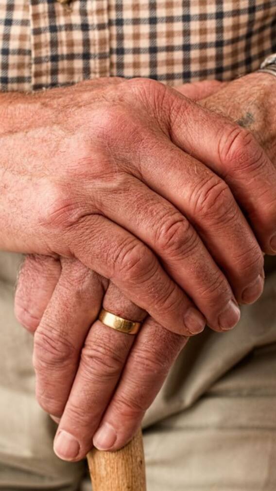 আপনি কি পঞ্চাশোর্ধ্ব? তাহলে খাদ্যতালিকায় এই খাবারগুলো অবশ্যই রাখুন