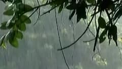 ન્યૂઝરૂમ લાઈવ: ખેડૂતો માટે રાહતના સમાચાર, સામાન્ય વરસાદની હવામાન વિભાગે કરી આગાહી