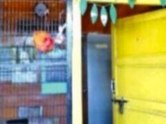 திருடு போன கலக்‌ஷன் பணத்தை கண்டுபிடிக்க முட்டை மந்திரம் போட்ட நடத்துரால் பரபரப்பு...!